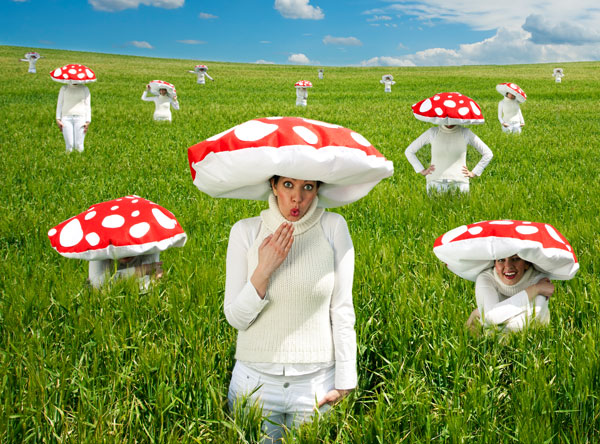 pilz