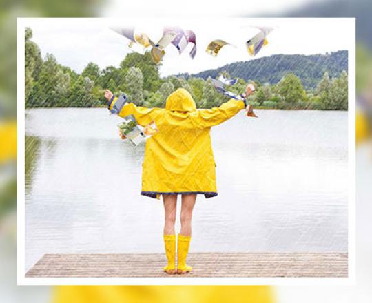 header ks consult2